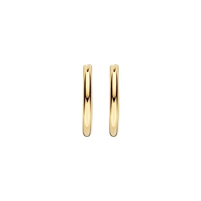Oorbellen 7406YGO - Geel Goud (14k)