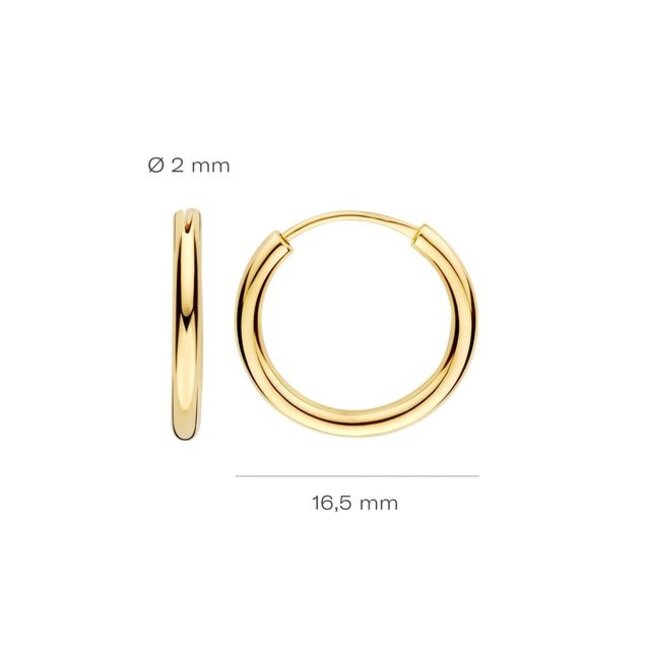 Oorbellen 7406YGO - Geel Goud (14k)