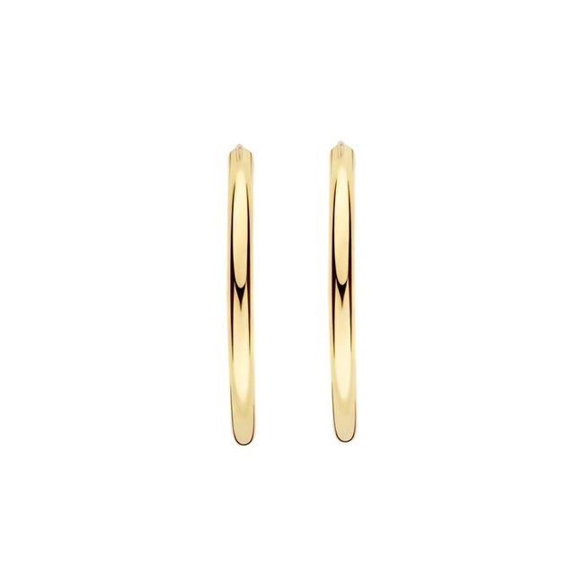 Oorbellen 7408YGO - Geel Goud (14k)