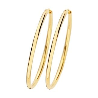 Blush Gold Jewels Oorbellen 7410YGO - Geel Goud (14k)