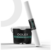 Oolex Oolex Renostuc & Glasweefsellijm