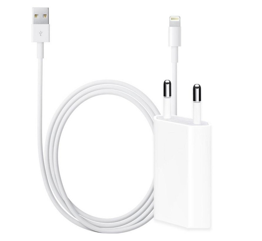 Câble Lightning original pour iPhone de 1 mètre + chargeur 5W