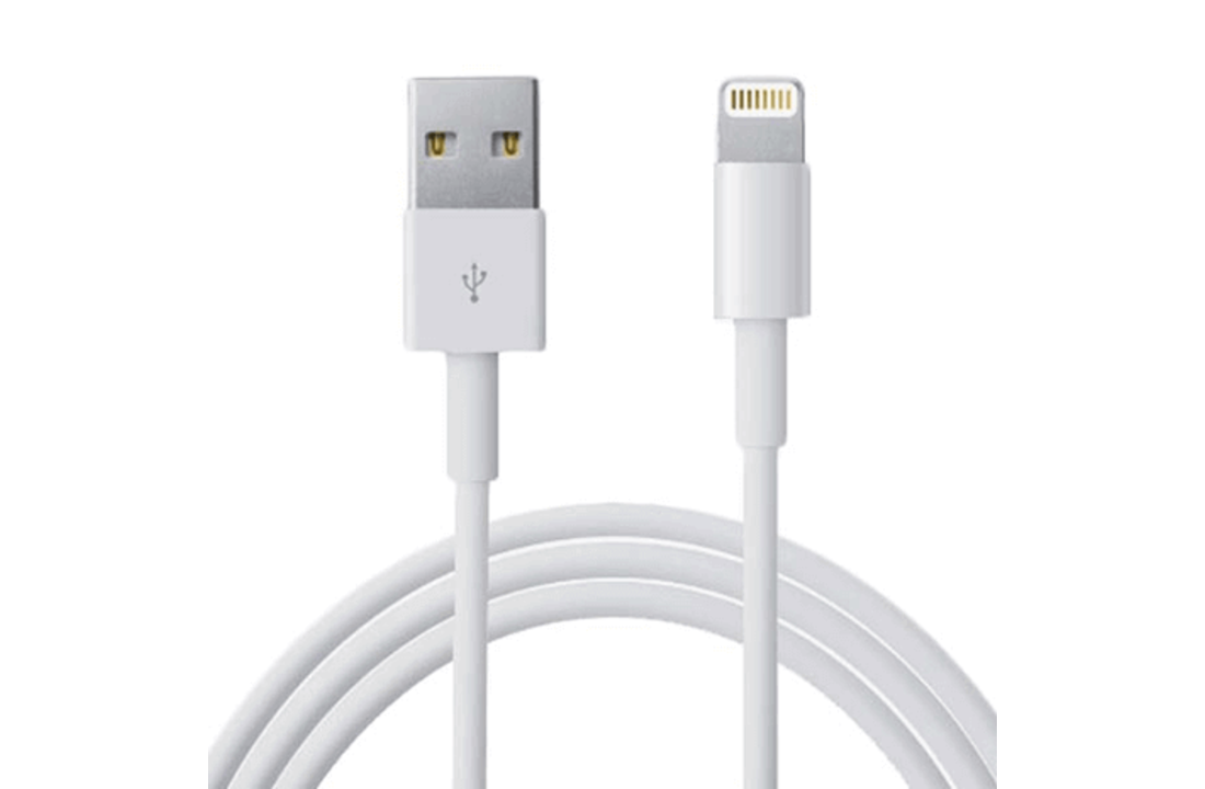 Originele Apple Lightning kabel & iPad Meter ( 10 stuks ) - Reswipe