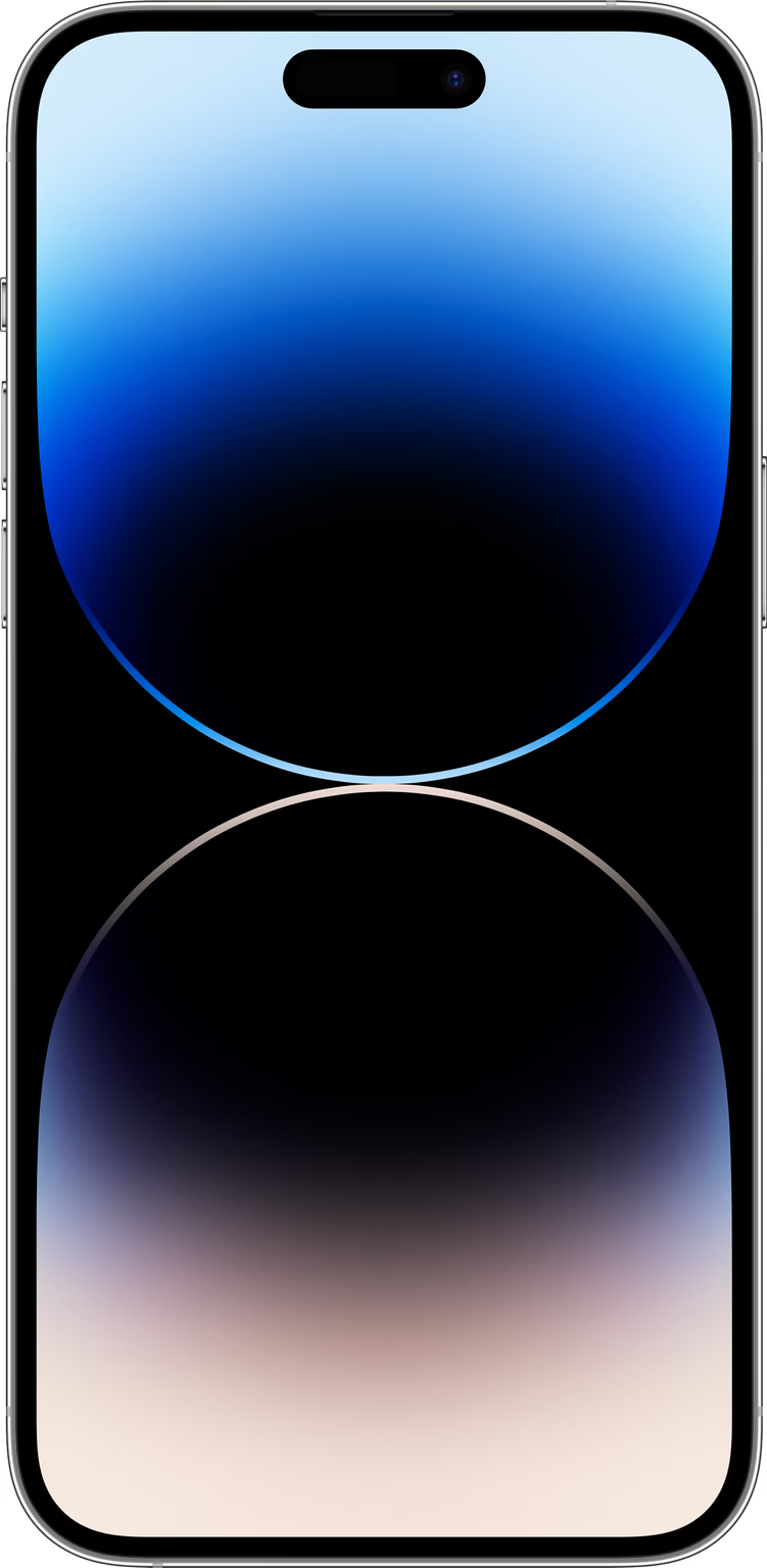 iPhone 14 Pro Max 256GB Zilver