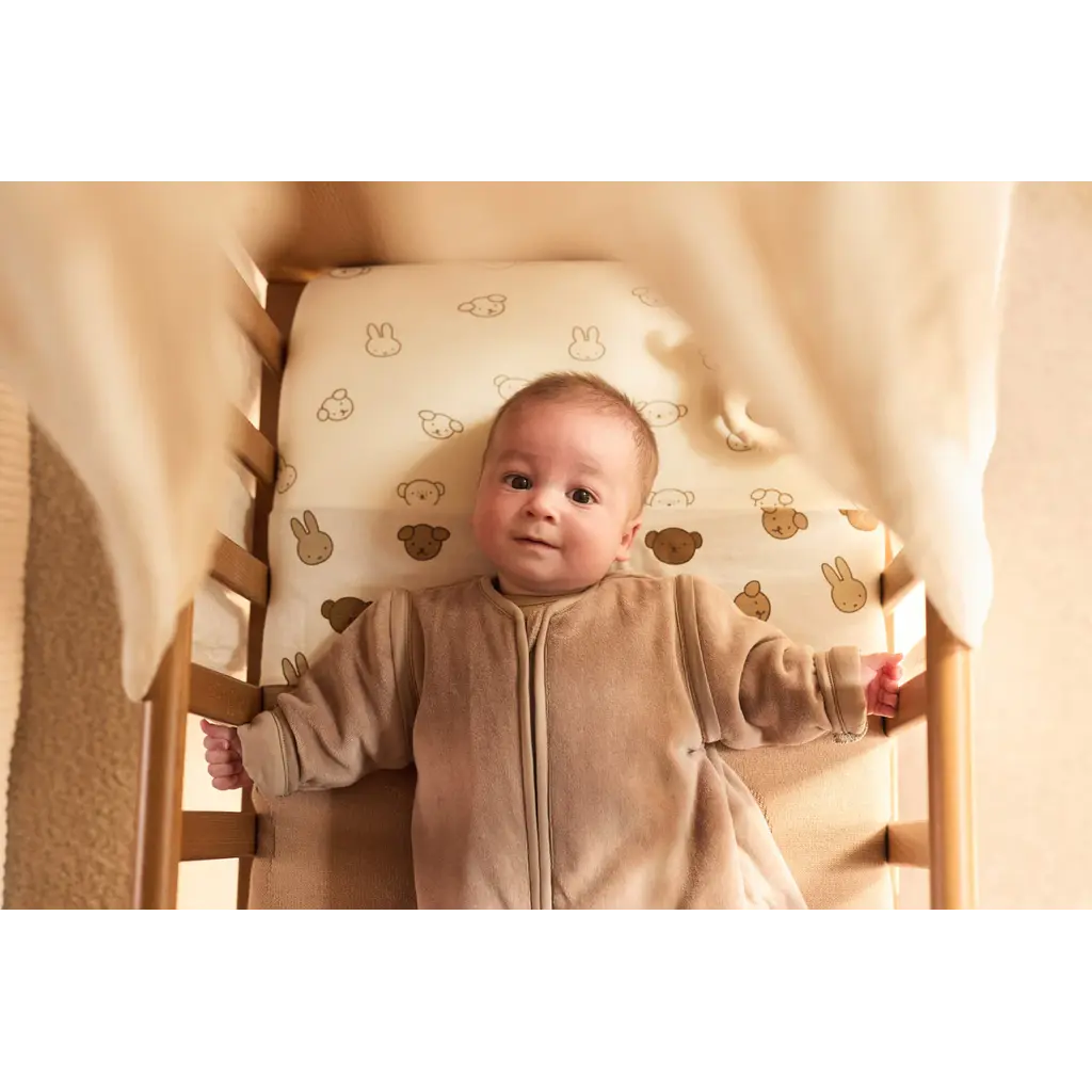 Jollein Jollein Dekbedovertrek met sloop - Nijntje and Friends