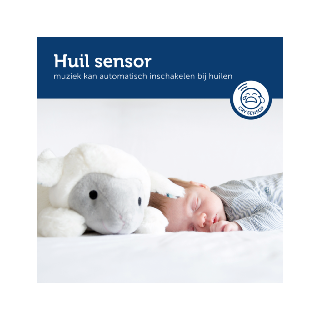 Hartslagknuffel Zazu Liz het Schaap