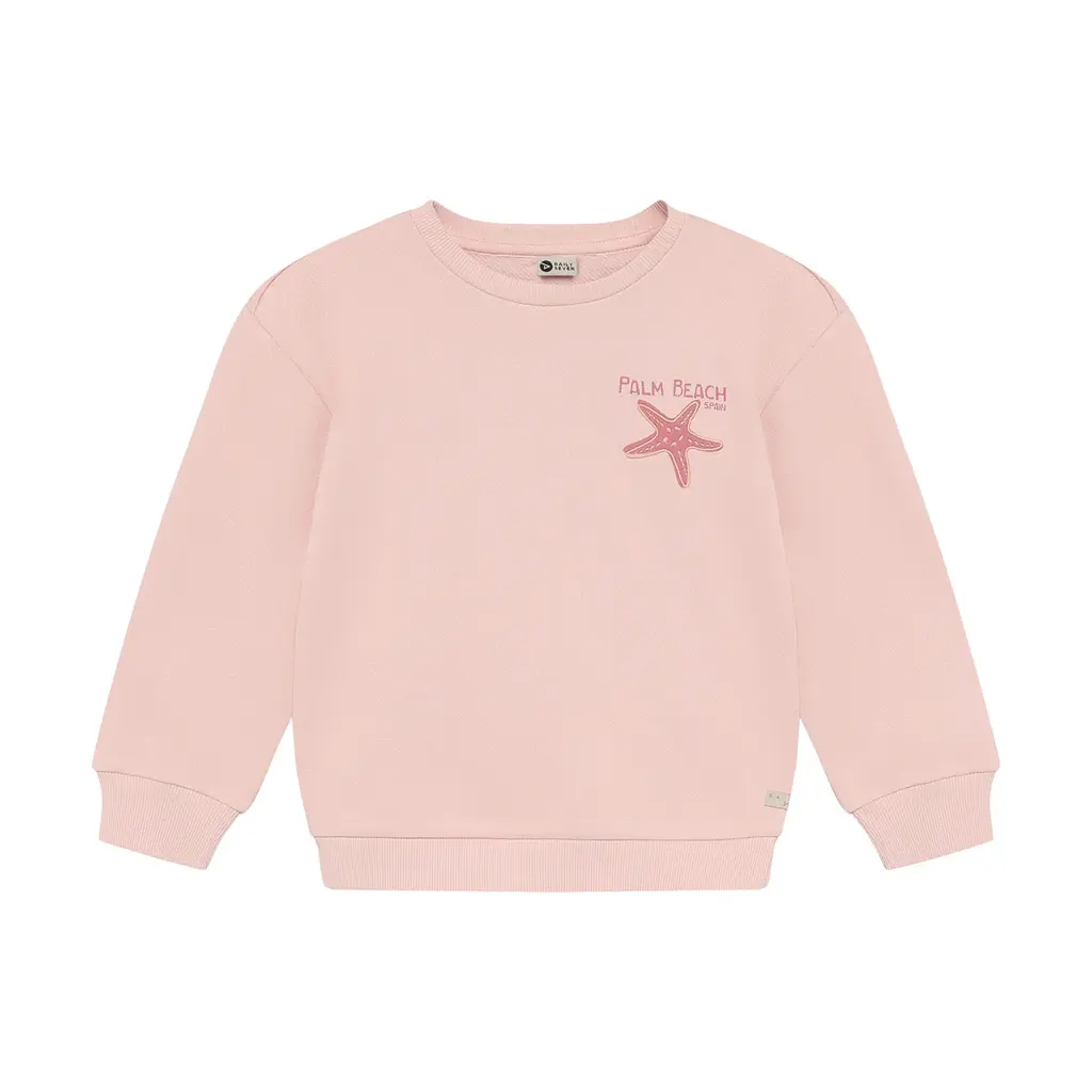 Daily7kids Daily 7 Sweater Backprint | Silver Pink