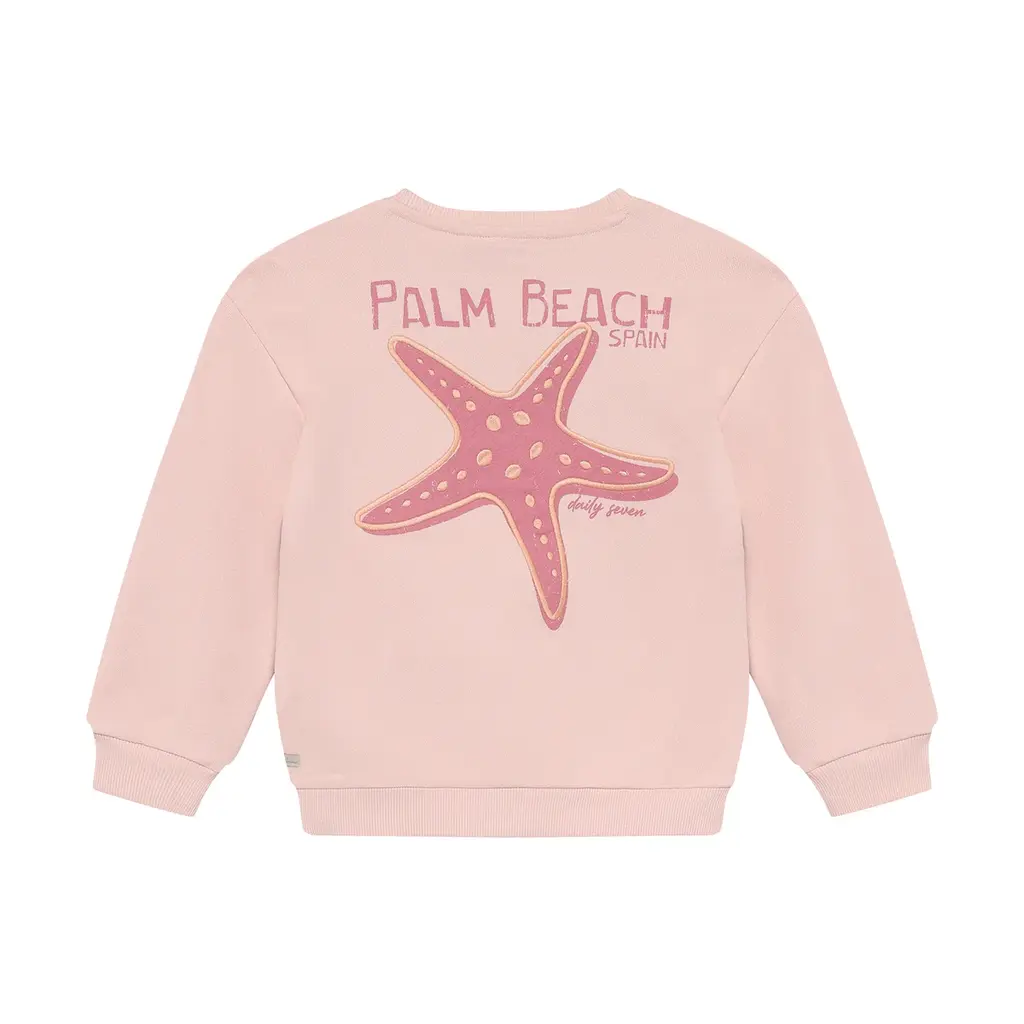Daily7kids Daily 7 Sweater Backprint | Silver Pink