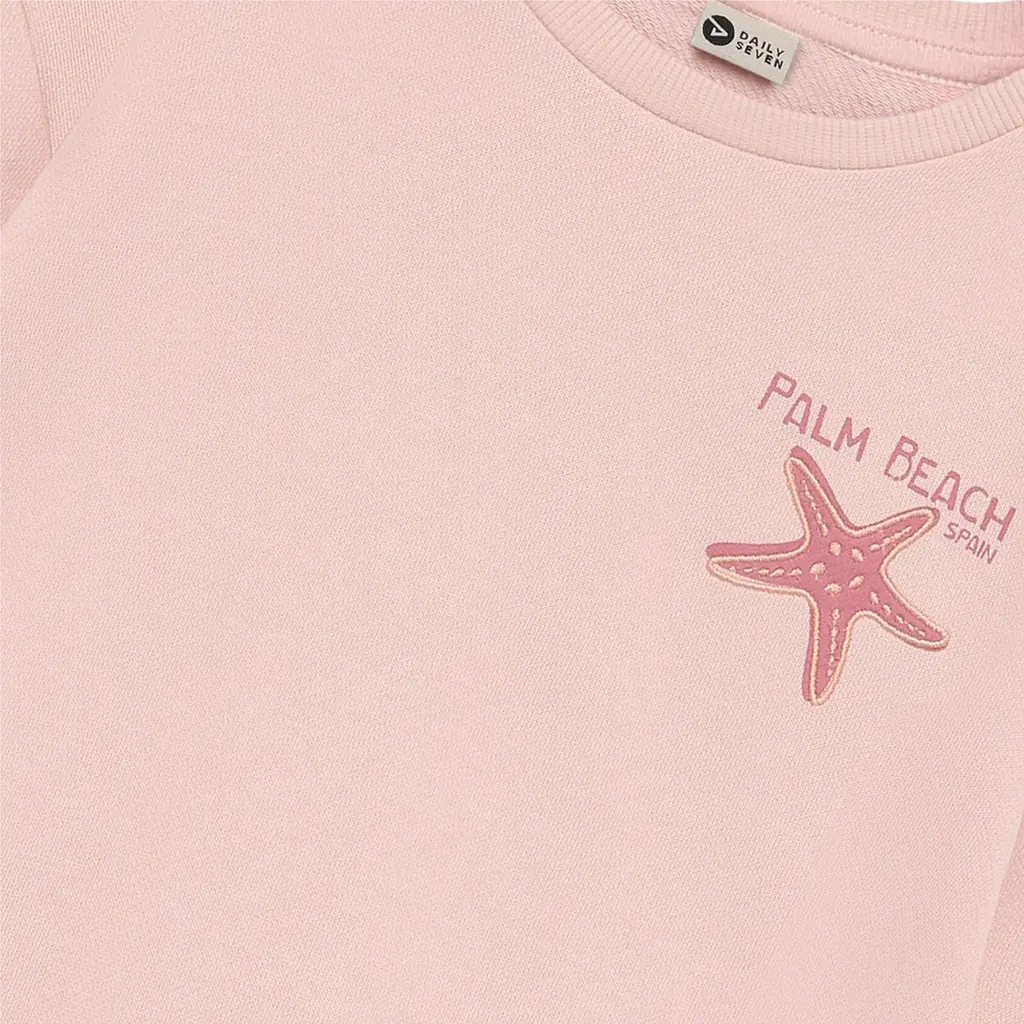 Daily7kids Daily 7 Sweater Backprint | Silver Pink