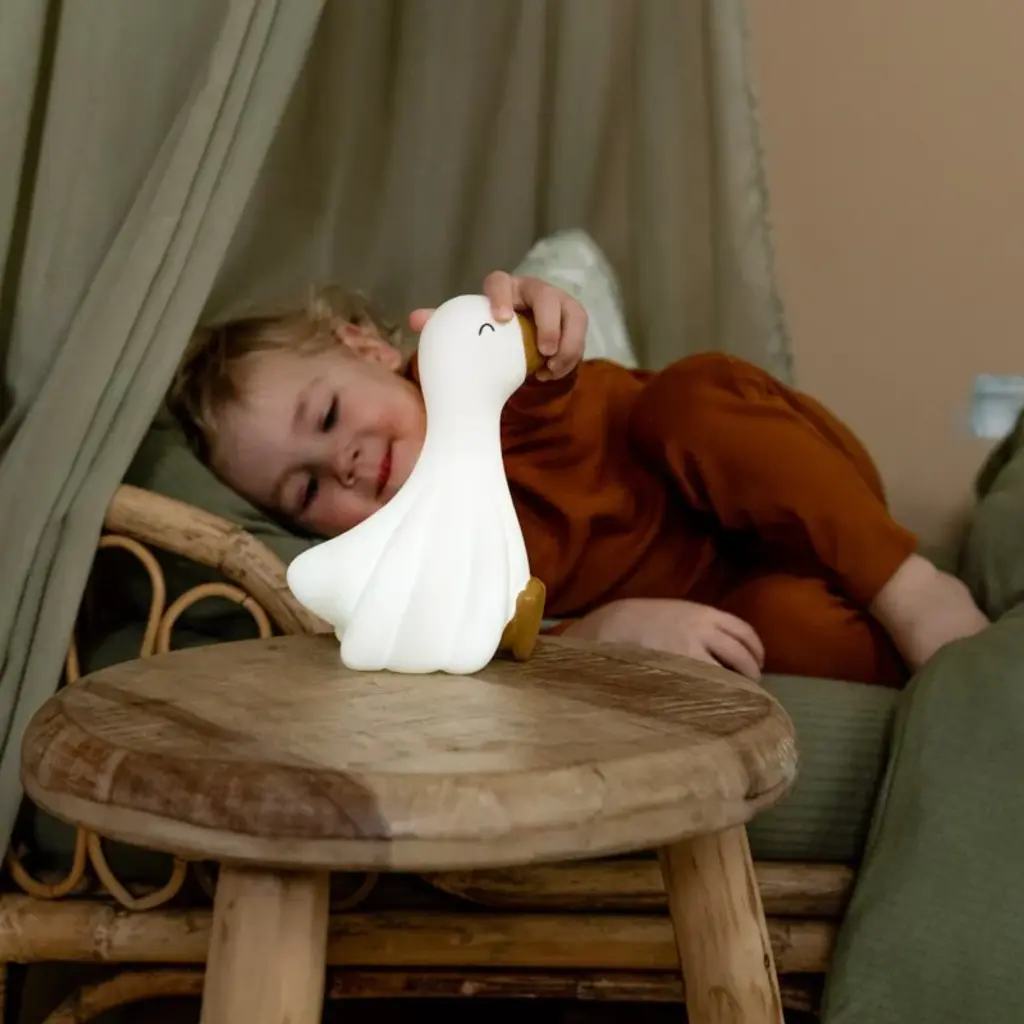 Little Dutch Little Dutch Nachtlampje Little Goose