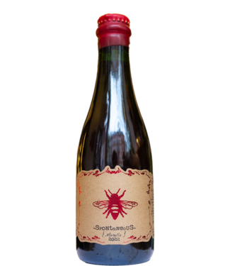 Plan Bee Spontaneous Morello 2022 Plan Bee Spontaneous Morello 2022