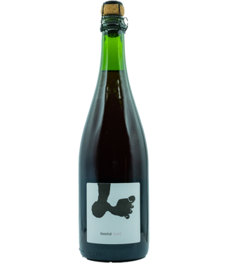 Joan Rubió - Ancestral Sumoll 2022