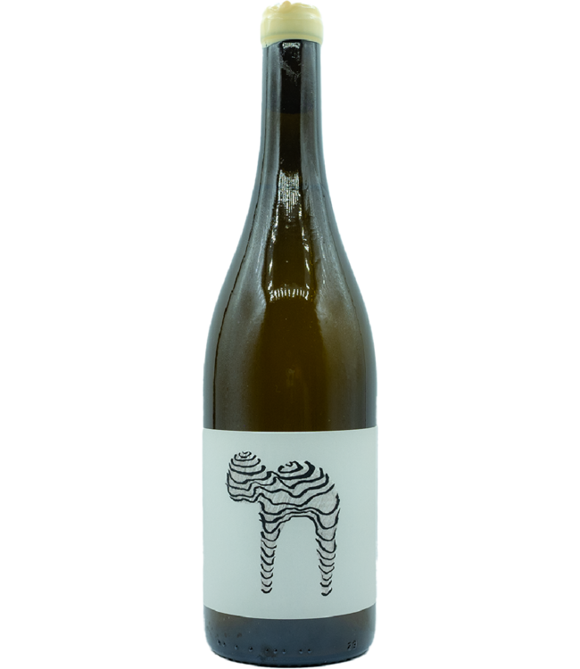 Aeblefald Leaving Here For Somewhere New