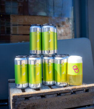 Other Half 12x Lime Snaps Box