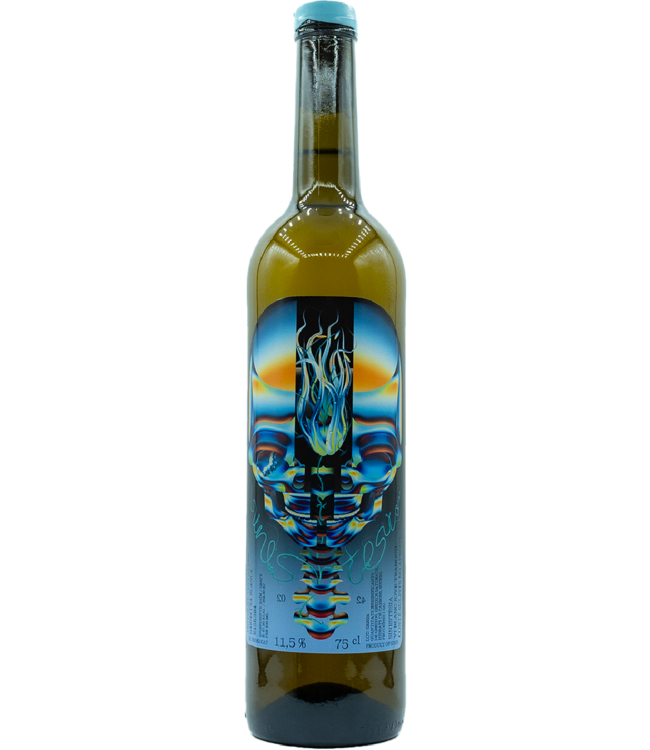 Pinyolet Vinyaters Sinestèsia Blanca 2023 Orange