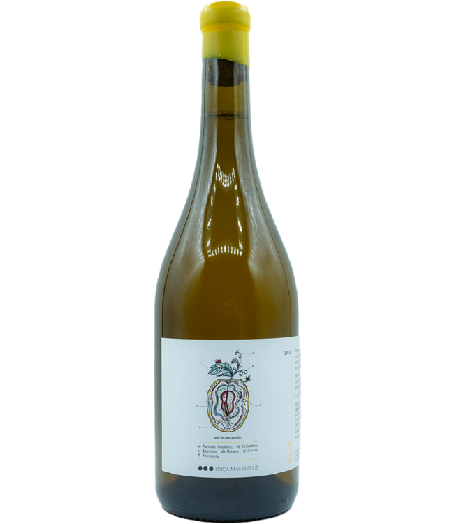 Finca Mas Perdut Pell de Mas Perdut 2023