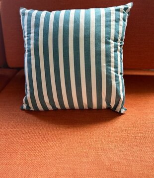 Cushion Blauwgroene Streep