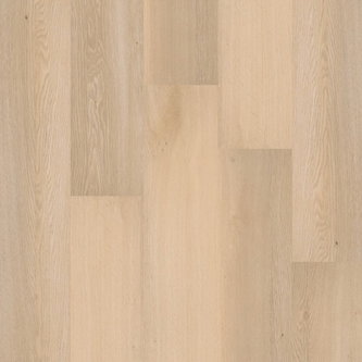 Click Premium Serie C70010