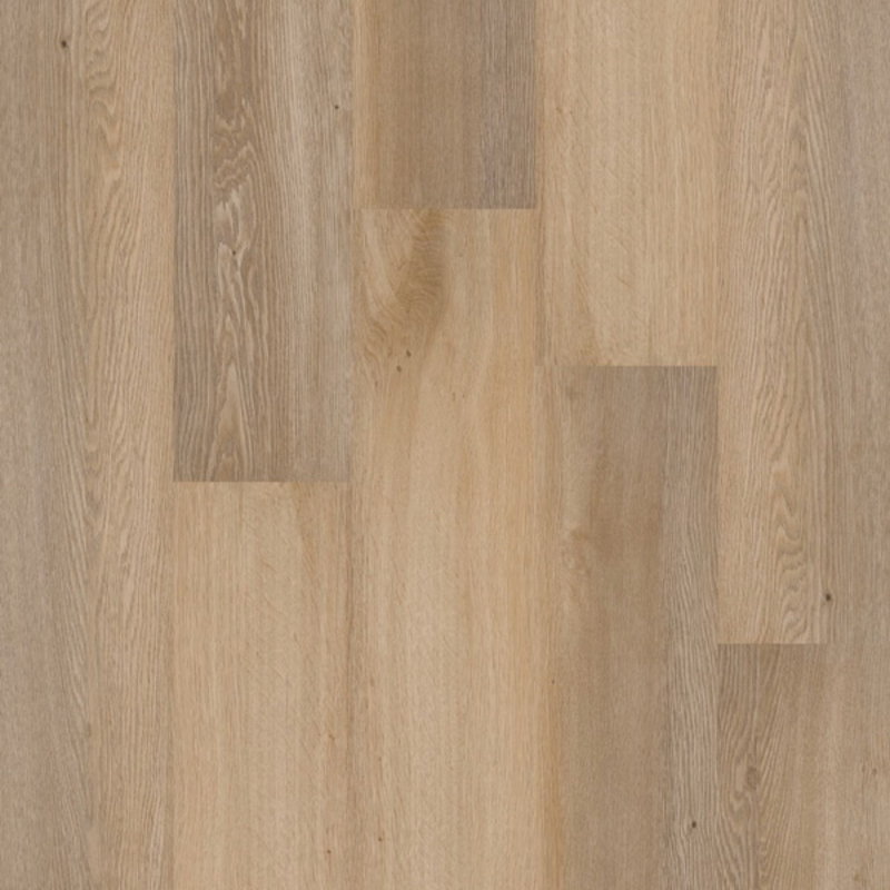 Click Premium Serie C70040