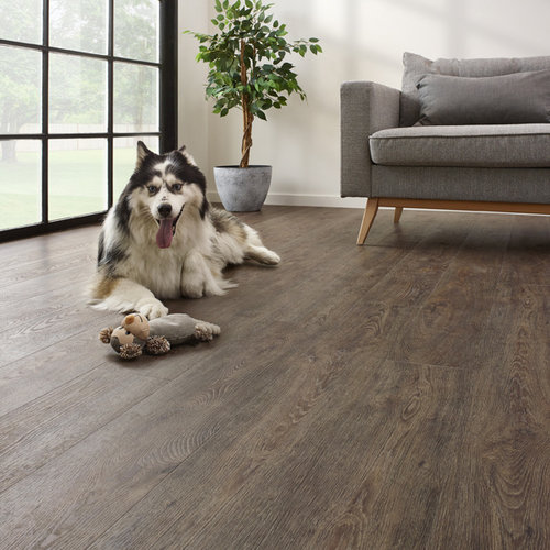 COREtec  Click Essentials 1500 MB E Jasper Oak 50 LVR 9601