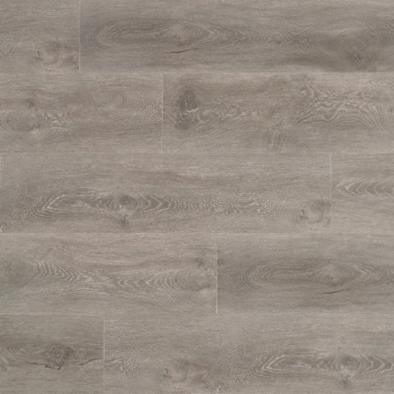 Click Pro Plus 1200 Century 50 RLV 1204