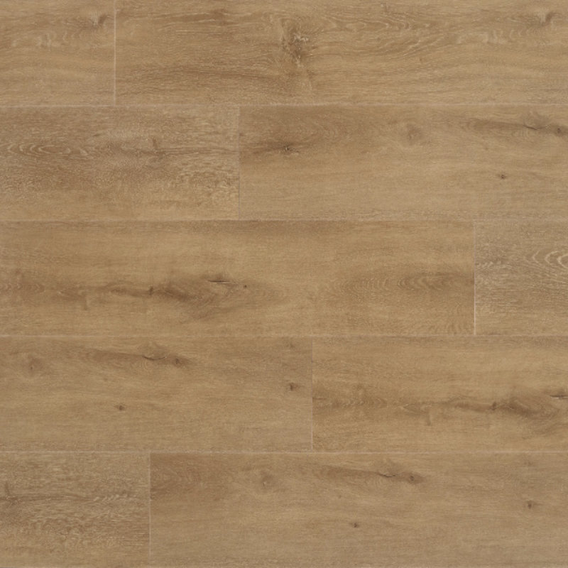 Click Pro Plus 1200 Imperial 50 RLV 1207