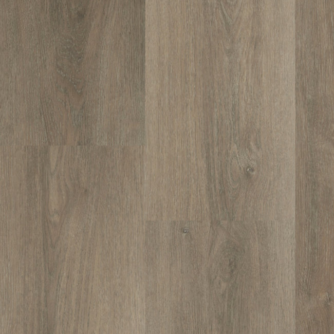 Lijmstrook Charente XL 5461