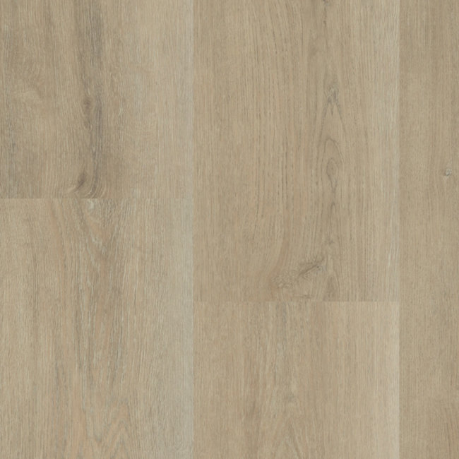 Lijmstrook Charente XL 5447