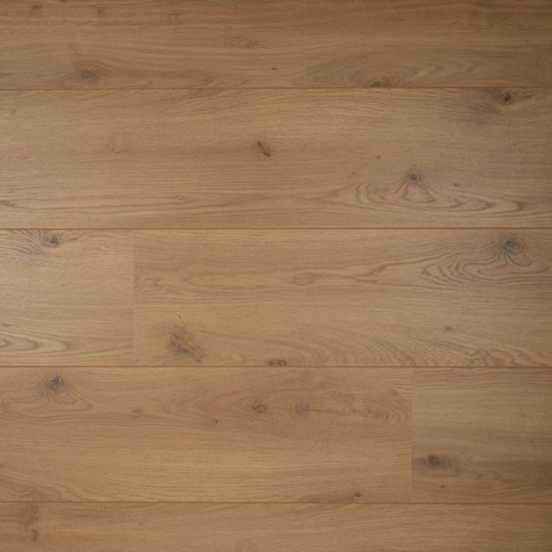 Sympathiek Peterselie 05039