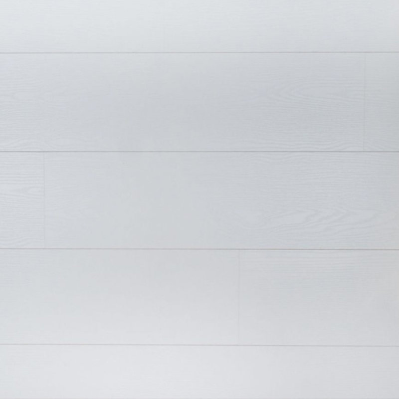 Sympathiek Koriander 05038