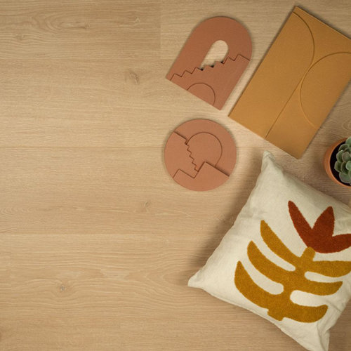 Douwes Dekker® Sympathiek Kamille 05037