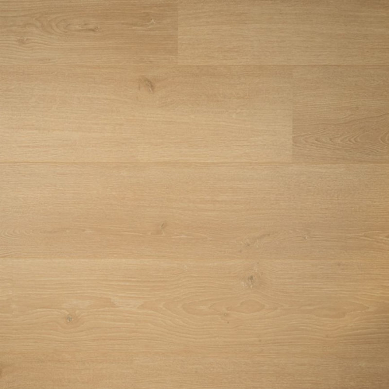 Sympathiek Kamille 05037