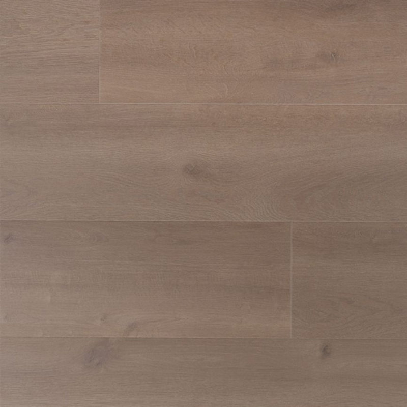 Krachtig Kruidnagel 04689