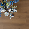 Krachtig Oregano 04686