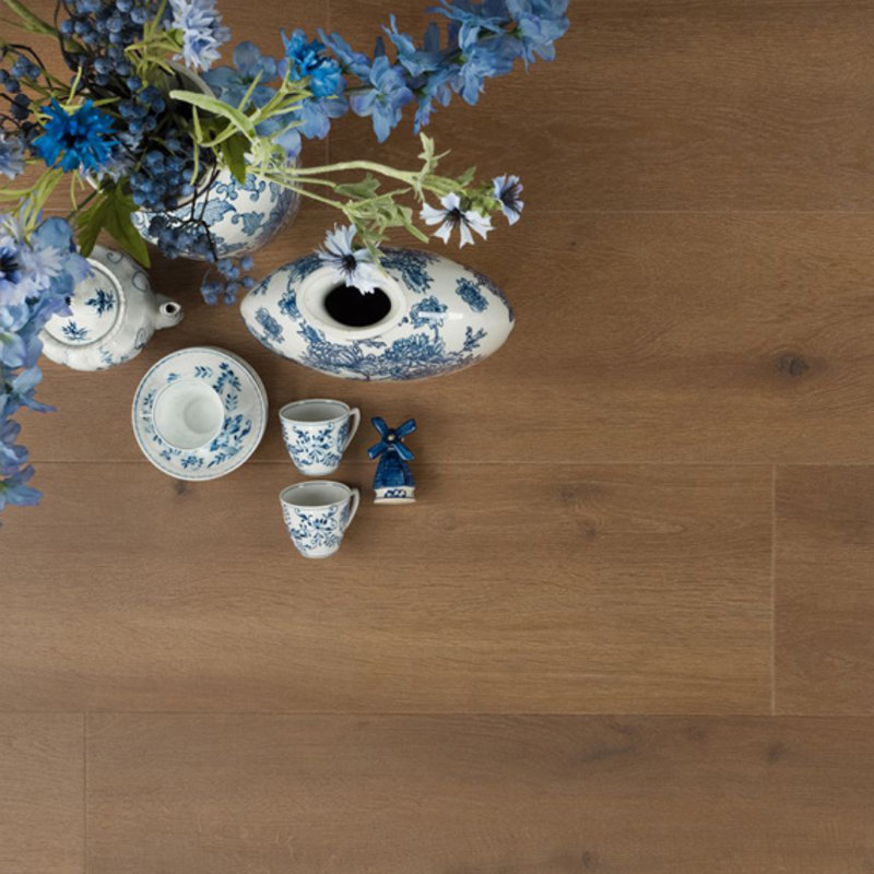 Krachtig Oregano 04686