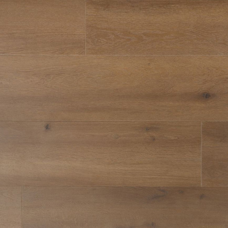 Krachtig Oregano 04686