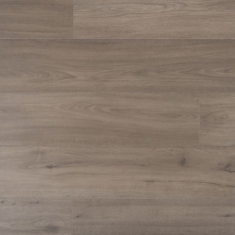 Trots Marjolein 04684