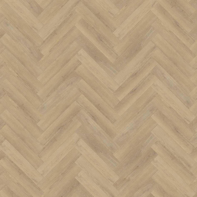 Lijmstrook Visgraat Invisible