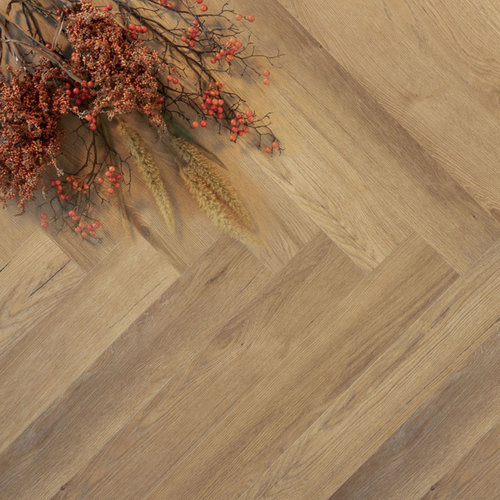 Douwes Dekker Click Trendy Visgraat Ambitieus Gemberkoek 04969