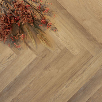 Lijmstrook Visgraat Ambitieus Gemberkoek 04731