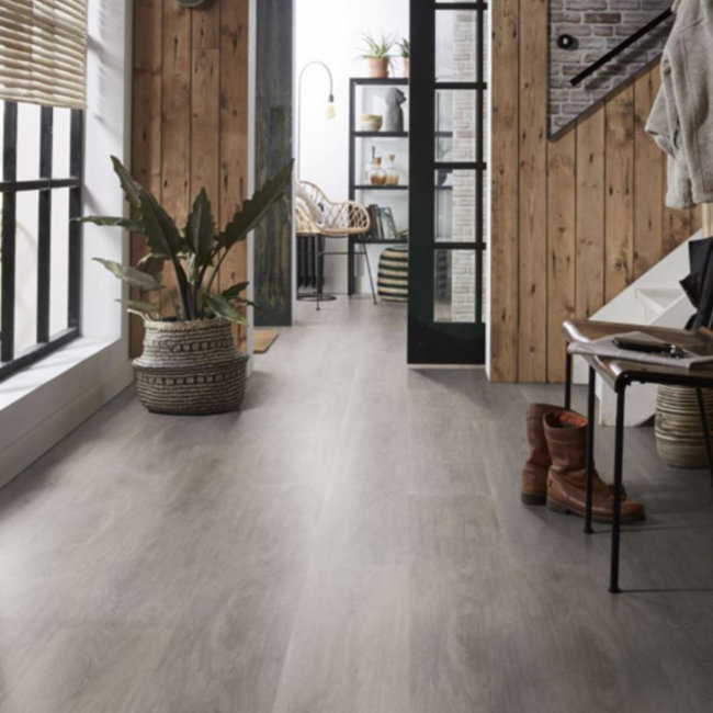 Lijmstrook Robusto Grey Oak 1554