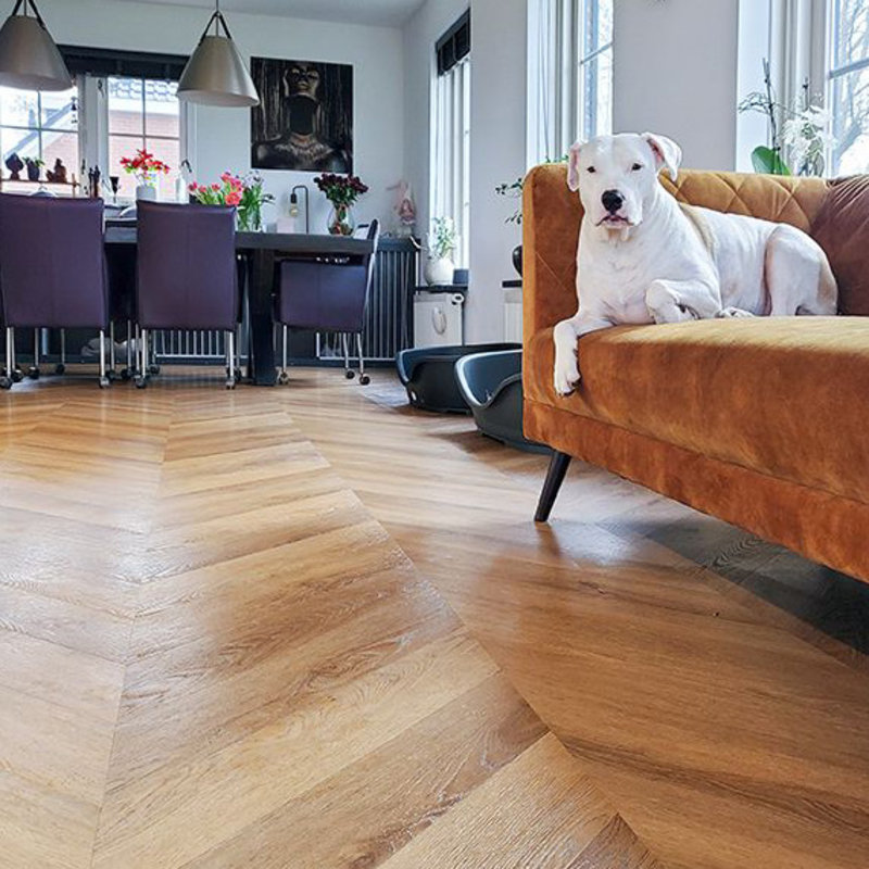 Lijmstrook Hongaarse Punt 1618