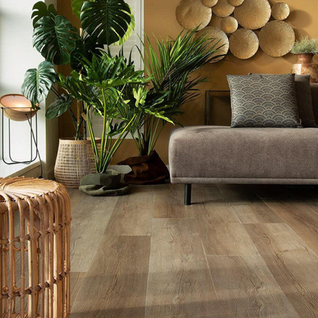 Lijmstrook XL Planken Firm 6