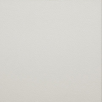 Lijmstrook Touch Leather LZ01