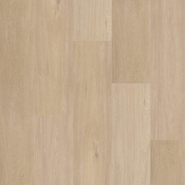 Click Chevron Serie C12042
