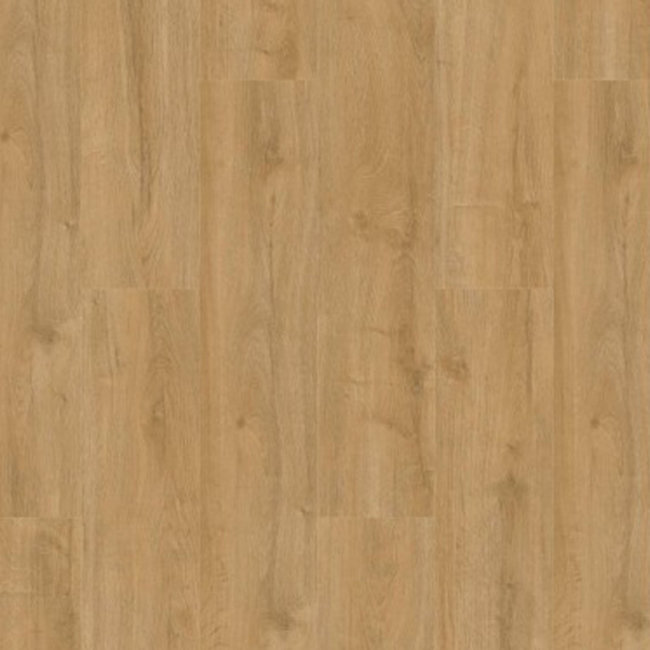 Lijmstrook Oakland Naturel 6101