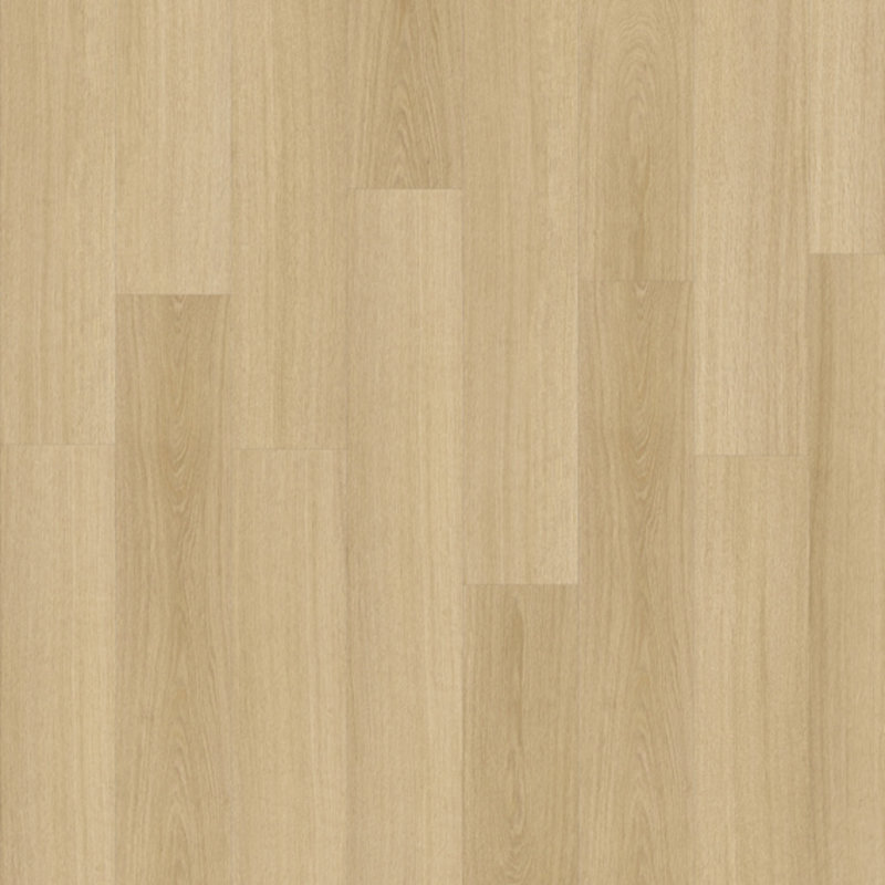 Lijmstrook Roots 55 Glyde Oak Medium 22219