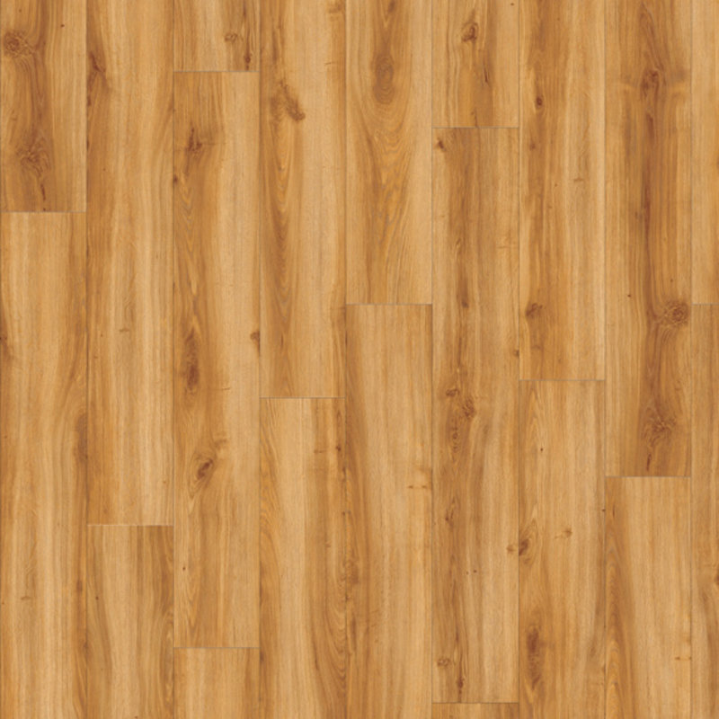 Lijmstrook Roots 40 Classic Oak 24438