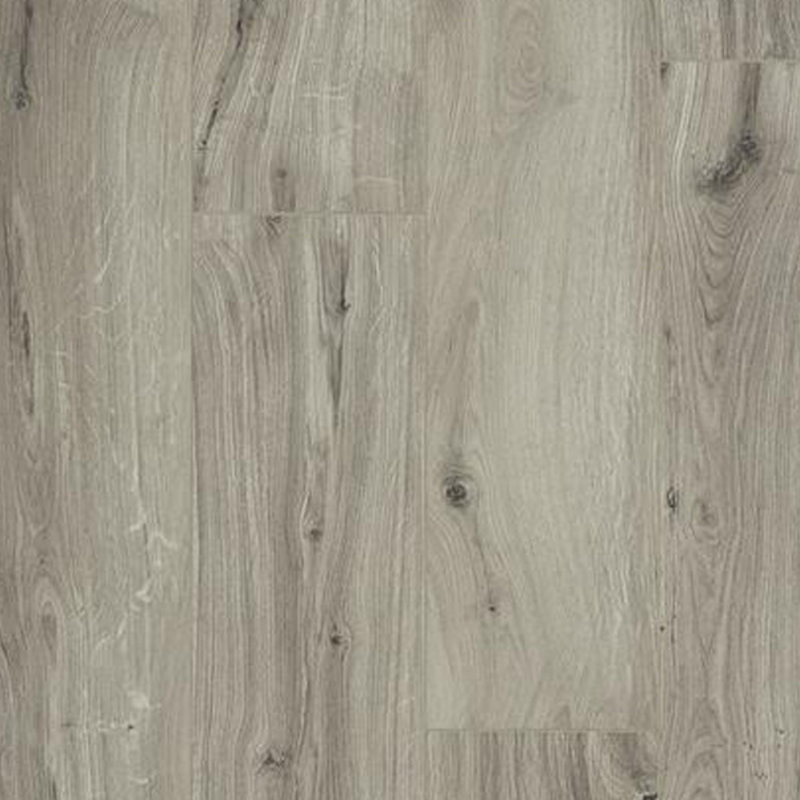 Ocean+ Gyant Light Grey 62003073