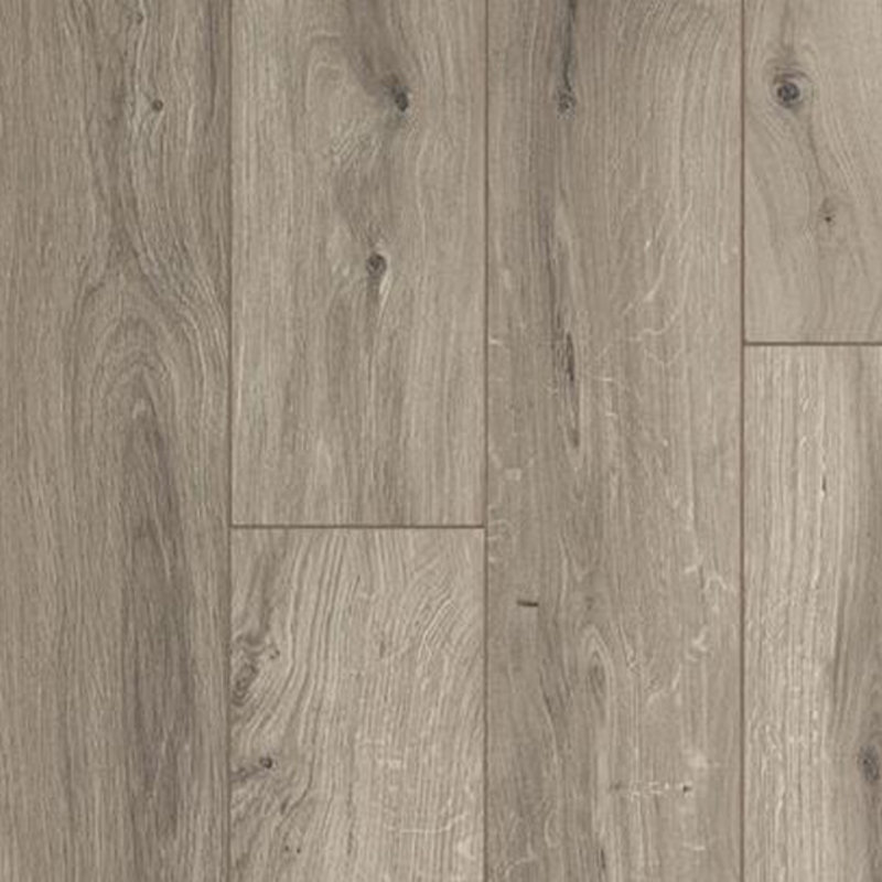 Ocean+ Gyant Brown Natural 62003070